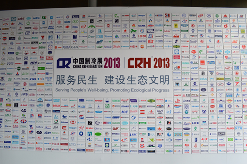 13 CR China(图1)